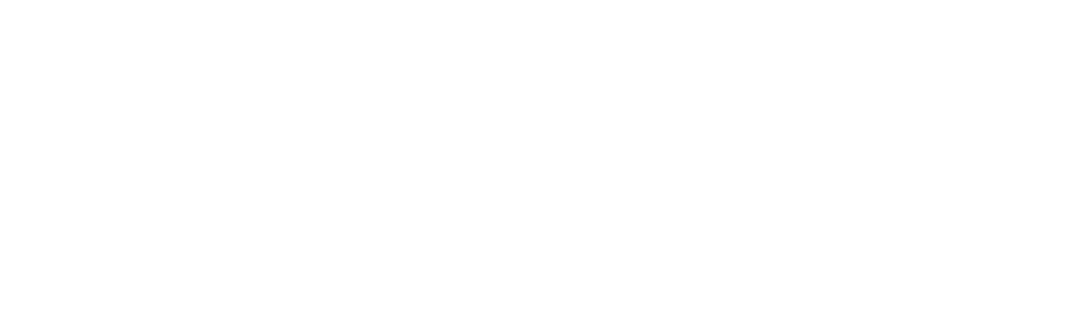 shopify-logo.png